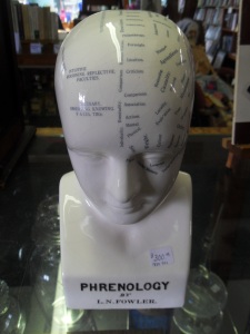 1880-90's ceramic phrenology model